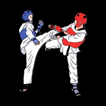 Taekwondo